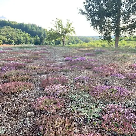 Appartamento Domaine De Feix Combressol Esterno foto